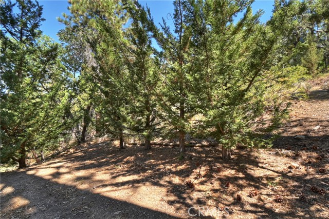 Detail Gallery Image 25 of 28 For 830 Villa Grove Ave, Big Bear Lake,  CA 92315 - 2 Beds | 1 Baths
