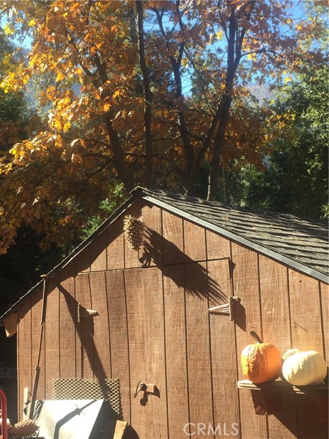 Detail Gallery Image 8 of 31 For 9112 Torrey Pines Rd, Forest Falls,  CA 92339 - 2 Beds | 2/1 Baths