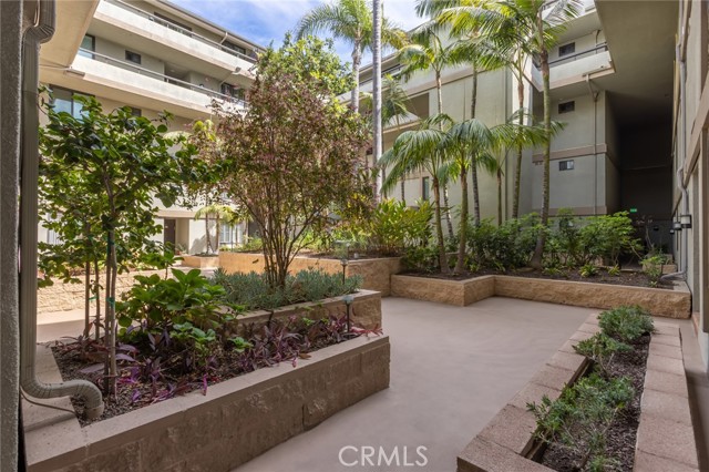 1007 S Catalina Avenue, Redondo Beach CA: https://media.crmls.org/medias/f9389ef4-9a0d-4b1f-8423-dd5c634eb6b5.jpg