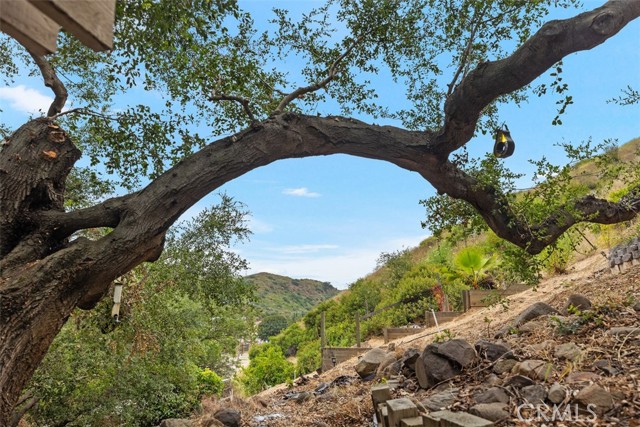 Image 46 of 48 For 28271 Modjeska Canyon Road