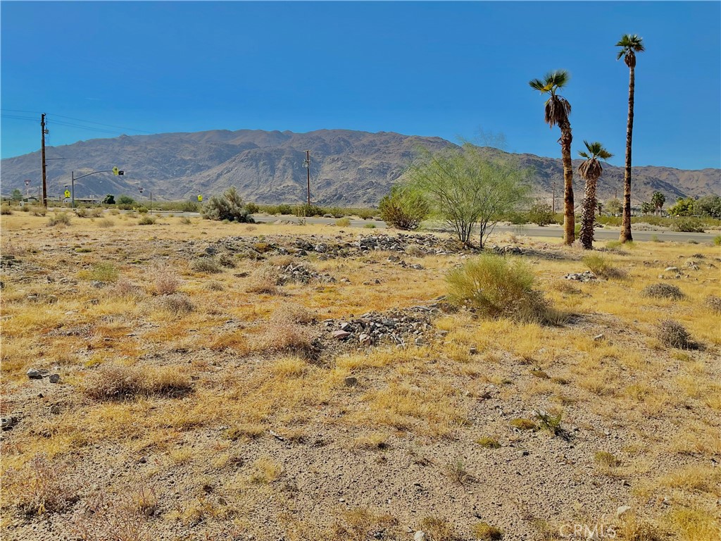 MLS #JT25259436 image #2