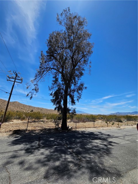 Image 12 of 16 For 51063 29 Palms Hwy Spc #32