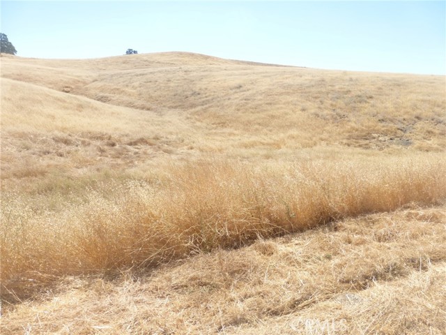 0 Claribel Rd. (Lot 45), San Miguel CA: https://media.crmls.org/medias/f9538194-9ec0-408d-ba69-09b18bf27c4b.jpg