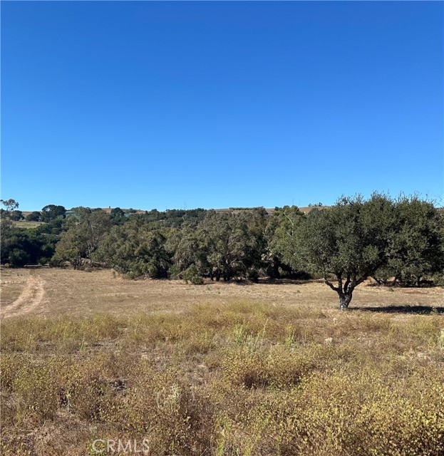 Detail Gallery Image 5 of 10 For 1990 Tularosa Rd, Lompoc,  CA 93436 - – Beds | – Baths