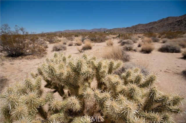 Detail Gallery Image 3 of 5 For 14 Wolfe, Twentynine Palms,  CA 92277 - – Beds | – Baths