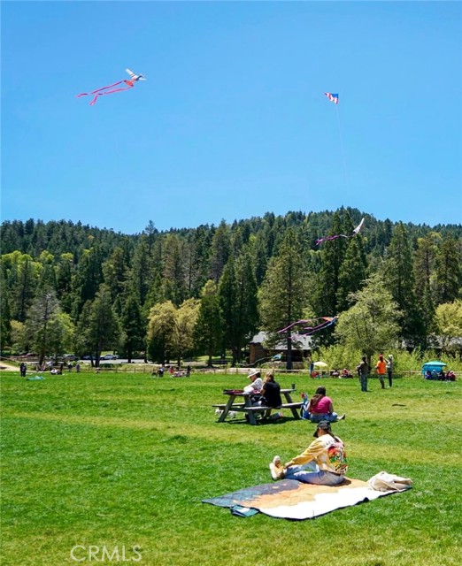 Detail Gallery Image 69 of 71 For 855 Bergschrund Dr, Crestline,  CA 92325 - 3 Beds | 2 Baths