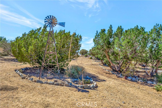 11720 Honeybee Lane, Juniper Hills CA: https://media.crmls.org/medias/f9689b47-c5ac-49a4-9d7c-62aa4c549682.jpg