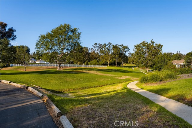 8009 E Eucalyptus Trail, Orange CA: https://media.crmls.org/medias/f9696061-e704-4161-b9a2-5ae3431f737c.jpg