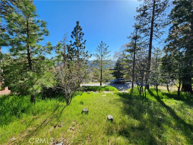 Detail Gallery Image 4 of 22 For 0 Alpen Dr, Lake Arrowhead,  CA 92352 - – Beds | – Baths