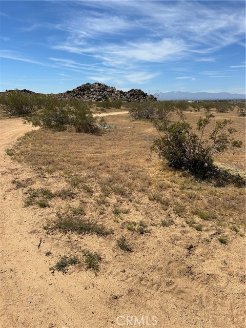 Detail Gallery Image 7 of 9 For 0 Japatul, Apple Valley,  CA 92307 - – Beds | – Baths