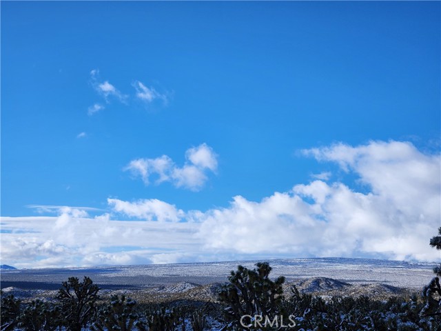 Detail Gallery Image 8 of 35 For 98202 Old Cima Ranch Rd, Cima,  CA 92323 - 3 Beds | 2 Baths