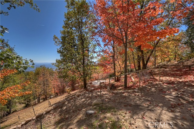 Detail Gallery Image 52 of 75 For 22 Holly Dr, Running Springs,  CA 92382 - 3 Beds | 2/1 Baths