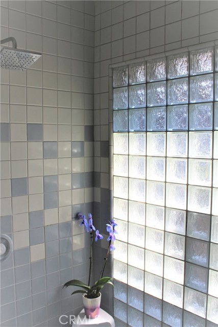 Oversized Shower with Natural Lighting from Atrium