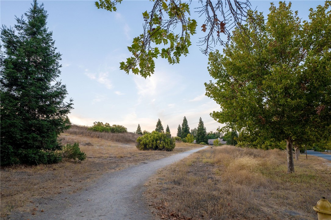 Detail Gallery Image 25 of 29 For 510 Burlwood Ln, Templeton,  CA 93465 - 4 Beds | 2 Baths