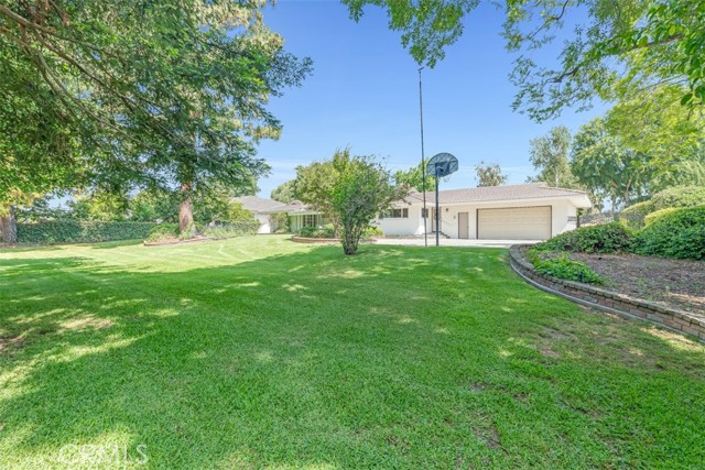 252 W 15th Street, Upland CA: https://media.crmls.org/medias/f97d6f54-6466-4967-8100-a635c9907dcd.jpg