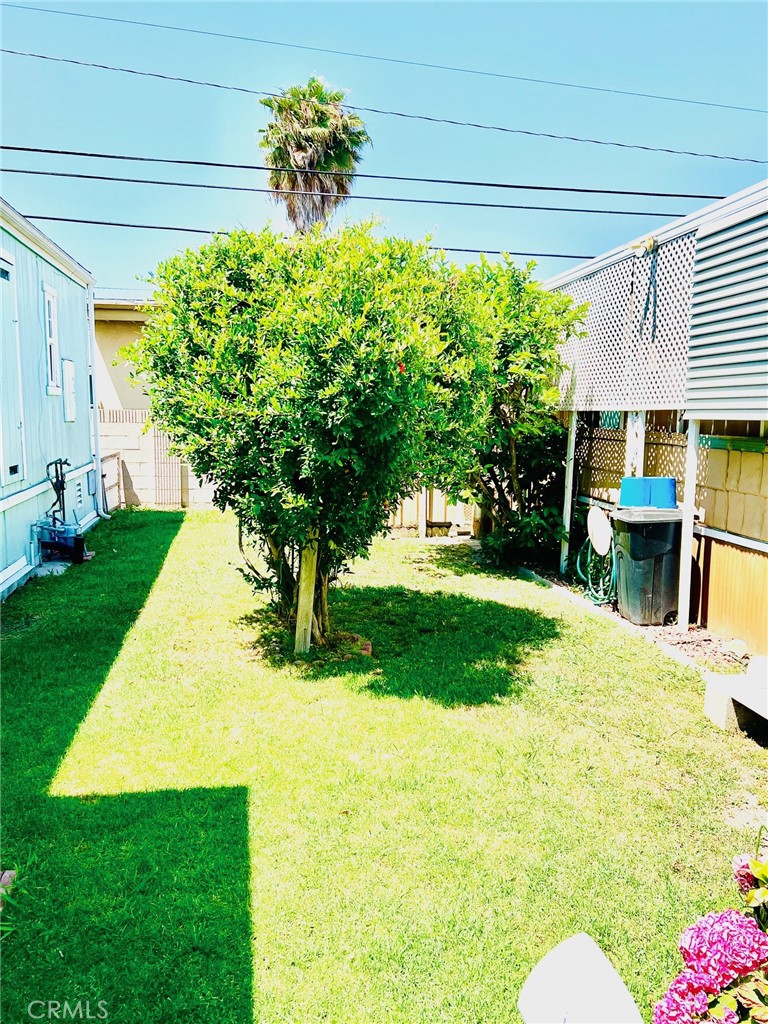 MLS #DW25133042 image #18