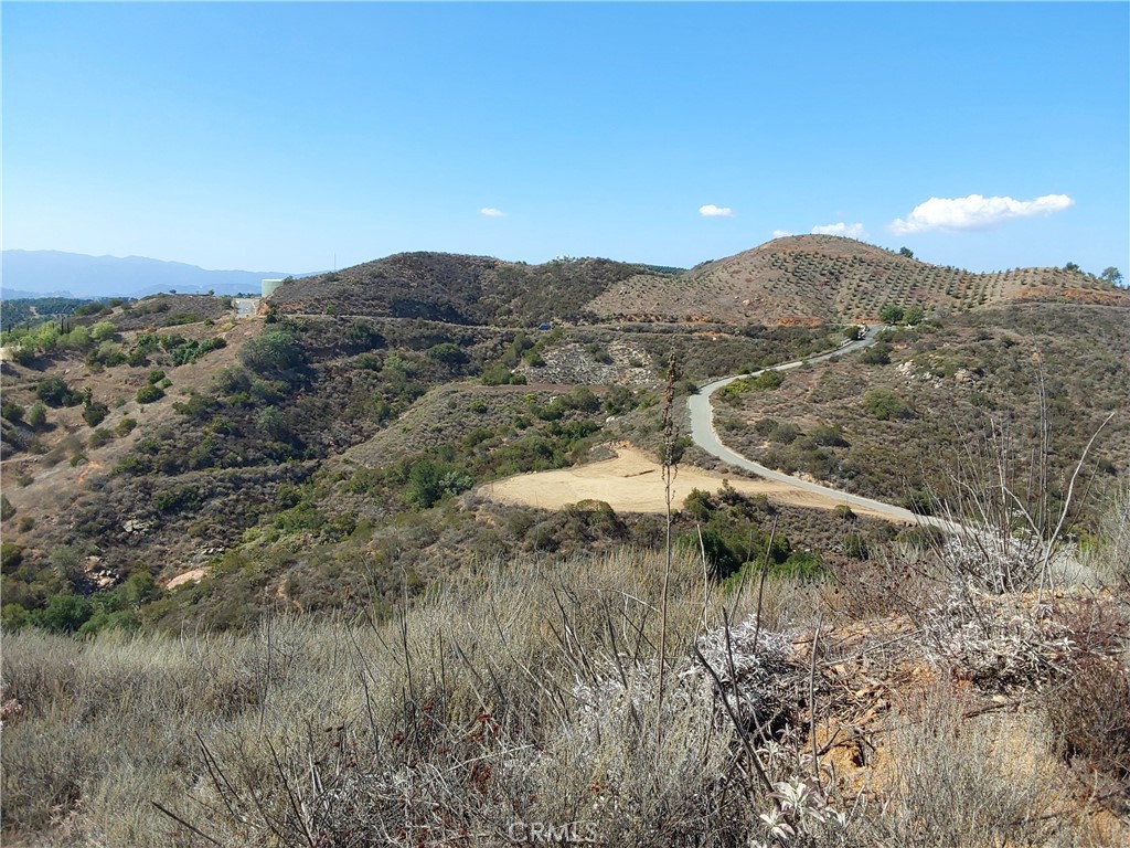 MLS #SW25229548 image #10