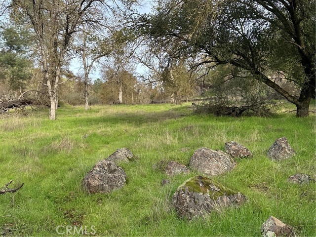 Detail Gallery Image 15 of 18 For 3224 Silver Bush Pl, Catheys Valley,  CA 95306 - – Beds | – Baths