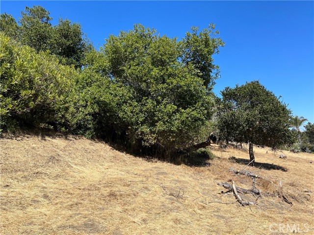 4925 Grove Street, Cambria, California 93428, ,Land,For Sale,4925 Grove Street,CRSC23001880