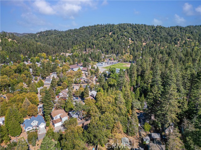 Detail Gallery Image 28 of 30 For 406 Forest Ln, Crestline,  CA 92325 - 3 Beds | 2 Baths