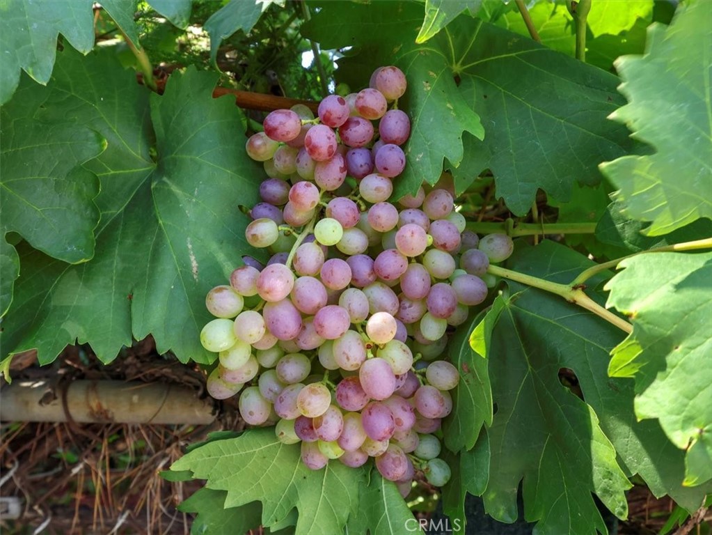 https://media.crmls.org/medias/f99aba3f-5a57-4c6d-b39c-630335668804.jpg?preset=X-Large