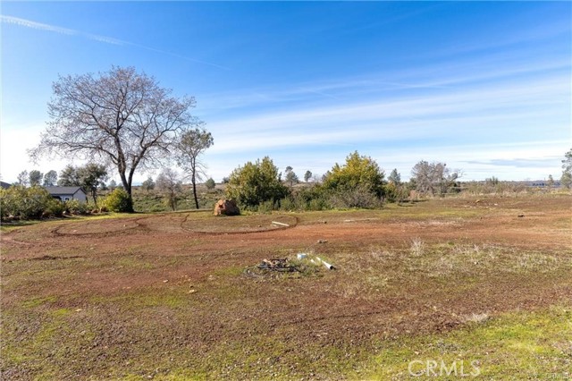 0 Bay Tree Drive, Paradise, California 95969, ,Land,For Sale,0 Bay Tree Drive,CRSN23203354