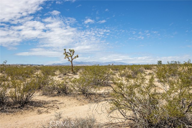 Detail Gallery Image 17 of 19 For 0 Sunny Sands, Joshua Tree,  CA 92252 - – Beds | – Baths