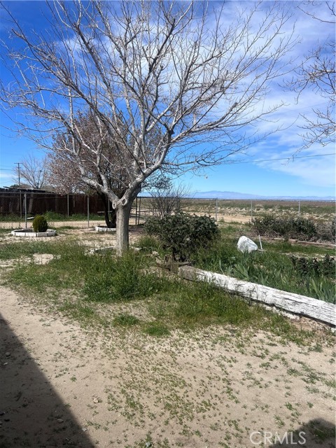 Detail Gallery Image 3 of 10 For 9722 E Avenue Q, Palmdale,  CA 93591 - 3 Beds | 2 Baths