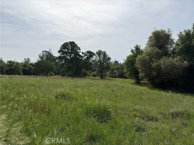 Detail Gallery Image 4 of 8 For 5 Acres Mountain Springs Rd, North Fork,  CA 93643 - – Beds | – Baths