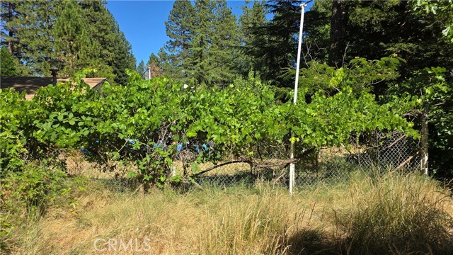 13793 Nimshew Road, Magalia CA: https://media.crmls.org/medias/f9b6a21d-4c9f-4002-8c47-cfdd1d871774.jpg