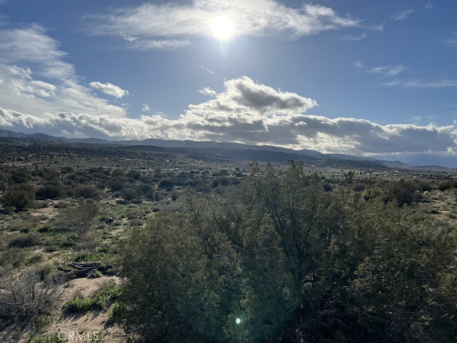 MLS #SR25254609 image #7