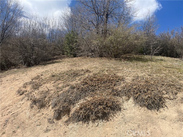 Detail Gallery Image 5 of 14 For 0 Pine Dr, Cedar Glen,  CA 92321 - – Beds | – Baths