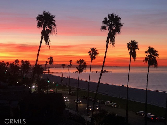 2601 E Ocean Boulevard, Long Beach CA: https://media.crmls.org/medias/f9c26a15-5bc4-4357-82e7-b1adb51b1e35.jpg