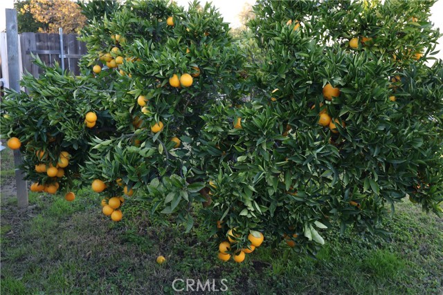 Detail Gallery Image 29 of 48 For 1311 6th, Corning,  CA 96021 - 2 Beds | 1 Baths