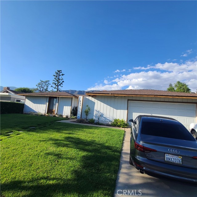 Front Image Thumbnail for CROC25234568