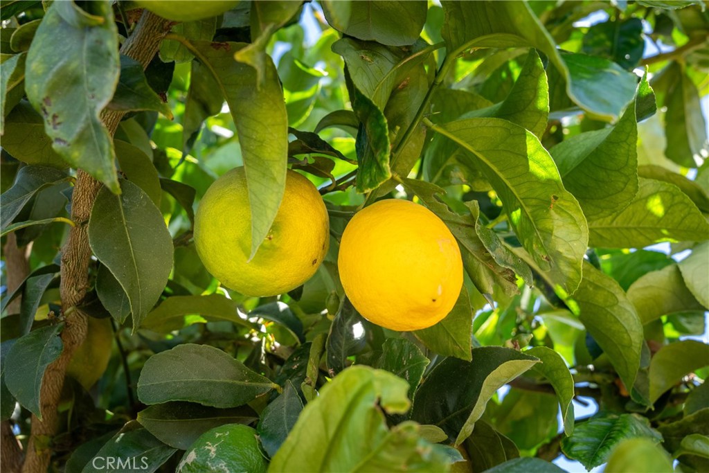 MLS #NS25194884 image #6