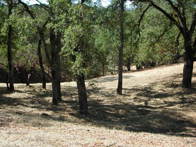 Image 3 for 19753 Powder Horn Rd, Hidden Valley Lake, CA 95467