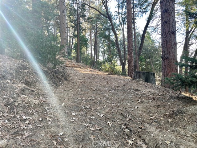 Detail Gallery Image 21 of 31 For 0 Fernland Dr, Idyllwild,  CA 92549 - – Beds | – Baths