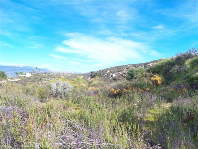 42540 Brix, Hemet CA: https://media.crmls.org/medias/f9e36de2-2b83-49ca-9662-65168aa439fc.jpg