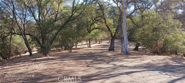 331 La Mirada Avenue, Oroville CA: https://media.crmls.org/medias/f9e4be1c-9eb5-46e8-863f-89064ffbf9d0.jpg