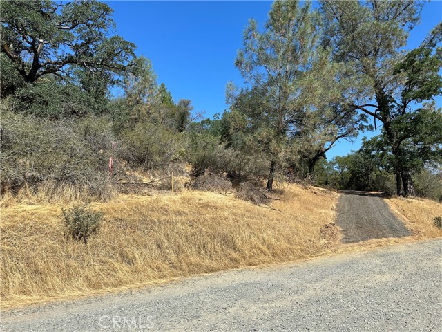 Detail Gallery Image 9 of 28 For 0 Rich Gulch Rd, Yankee Hill,  CA 95965 - – Beds | – Baths
