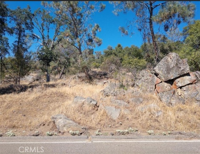 1779 Revis Road, Coarsegold, California 93614, ,Land,For Sale,1779 Revis Road,CRFR23207382