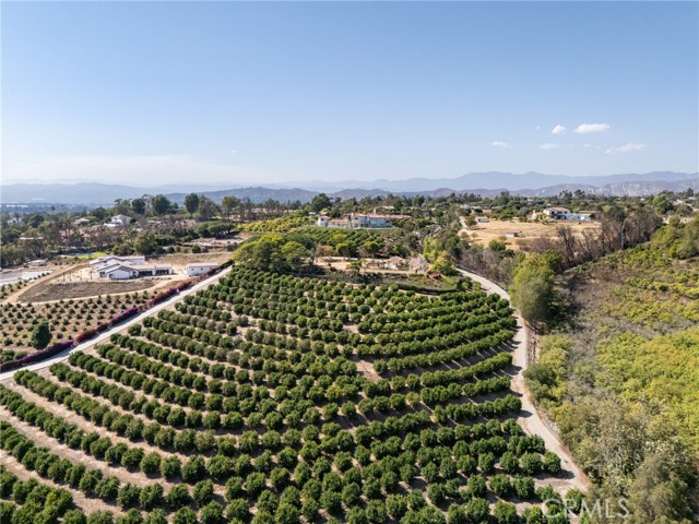 25 Encino Avenue, Camarillo CA: https://media.crmls.org/medias/f9f9276a-c4f3-4aa5-aa24-7f0abbf2f6ac.jpg