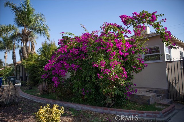 Detail Gallery Image 2 of 51 For 9726 Kauffman Ave, South Gate,  CA 91355 - 2 Beds | 1 Baths