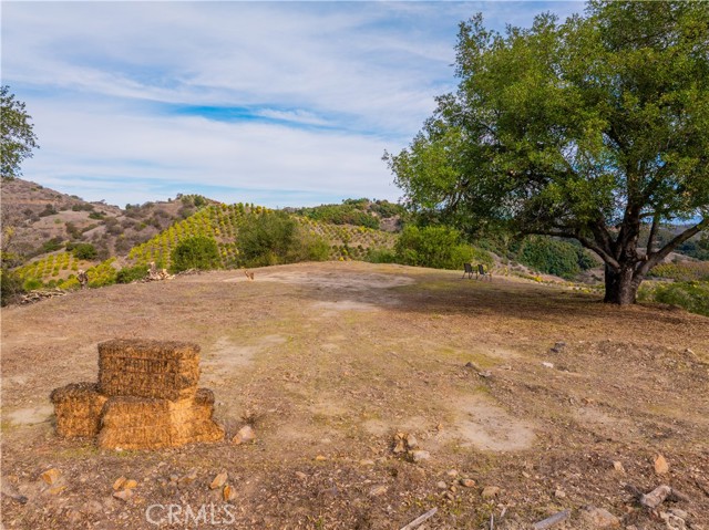 Detail Gallery Image 16 of 25 For 46121 Avenida Tierra, Temecula,  CA 92590 - – Beds | – Baths