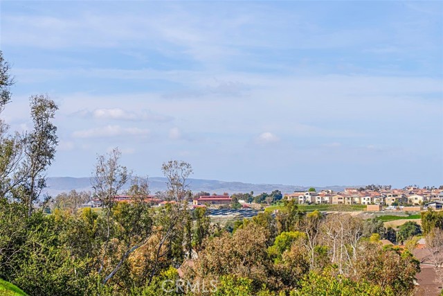 Image 33 of 41 For 26342 Forest Ridge Drive 3a