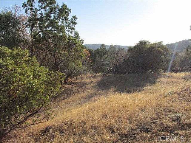 Detail Gallery Image 28 of 54 For 2 Ac Old Oaks Ct, North Fork,  CA 93643 - – Beds | – Baths