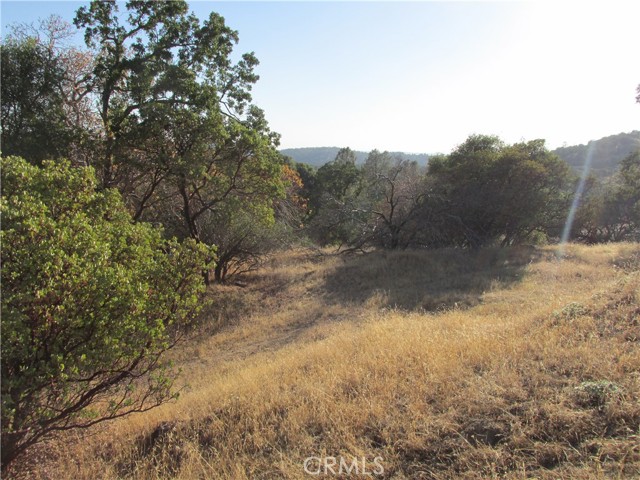 2 Old Oaks Court, North Fork, California 93643, ,Land,For Sale,2 Old Oaks Court,CRFR23180860