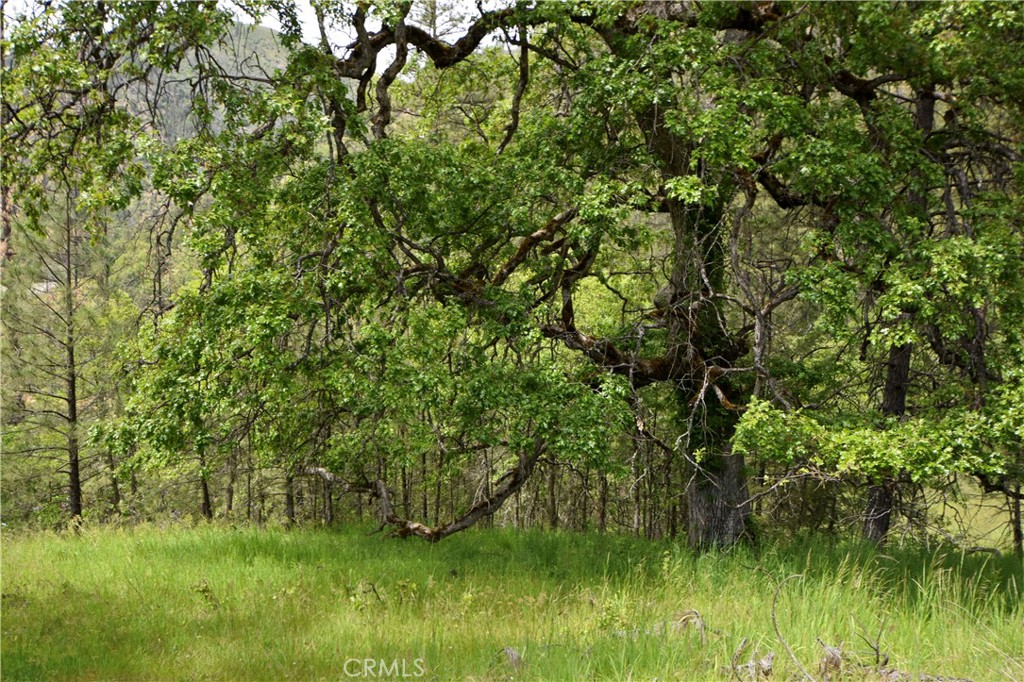 https://media.crmls.org/medias/fa0de409-1f7e-4515-ab2f-0d852d51620e.jpg?preset=X-Large