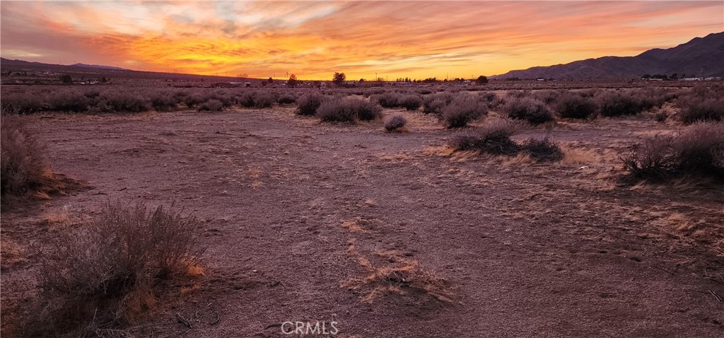 MLS #IV25049226 img 1